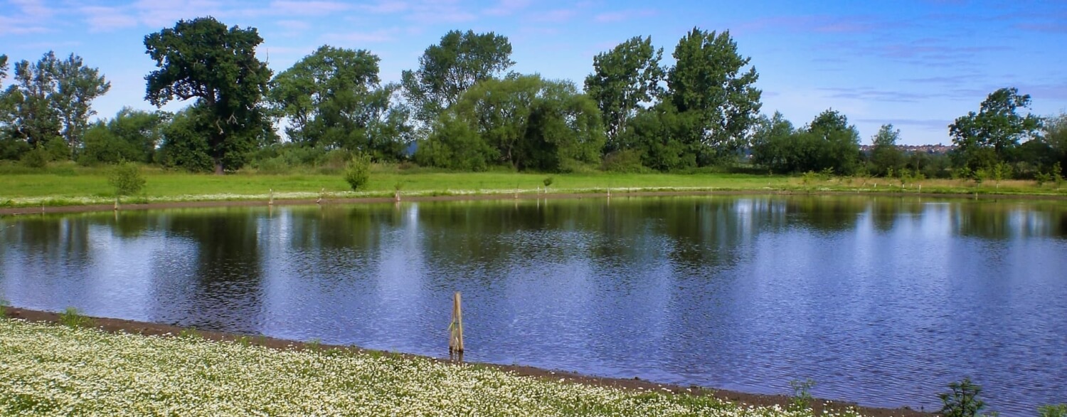 Hackett Fishing Lakes