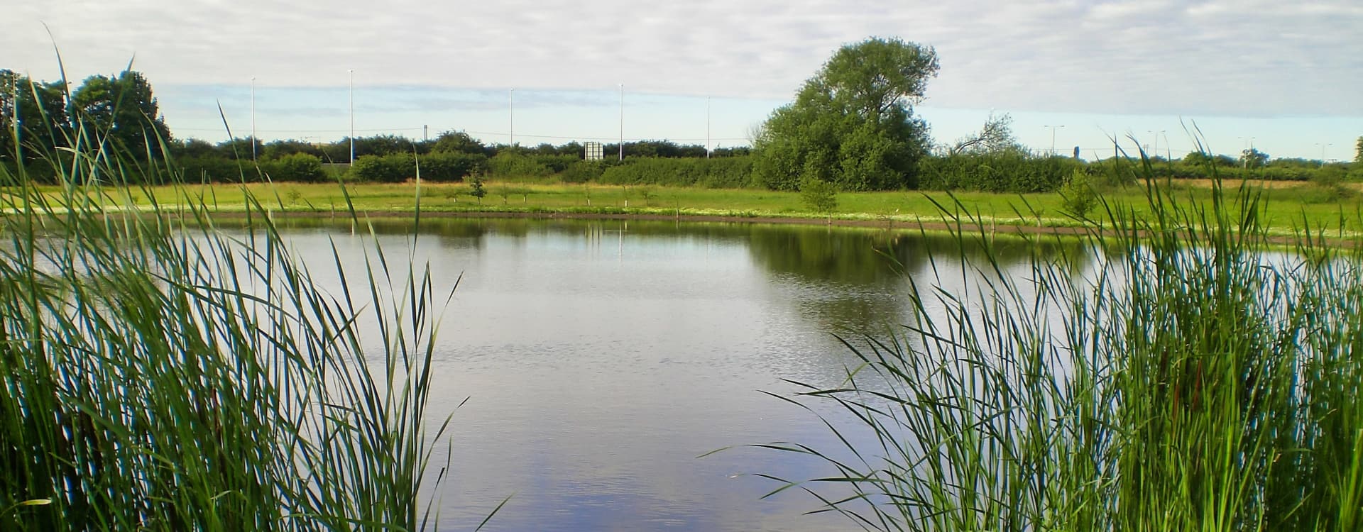 Hackett Lakes